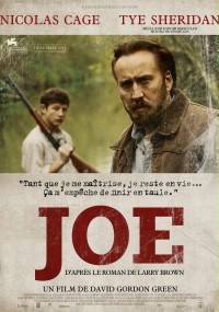 Joe (2013)